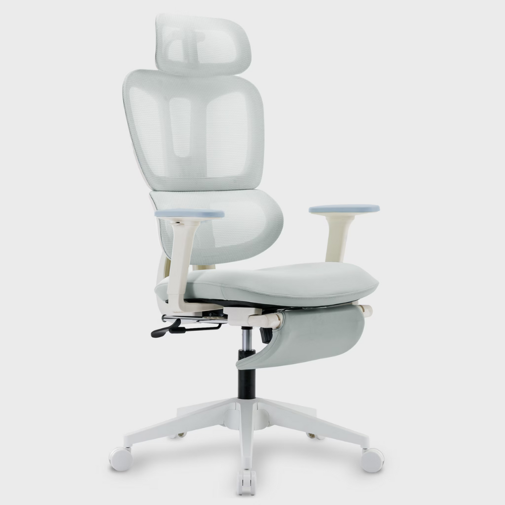Multi-functional Ergonomic Mesh Office Chair